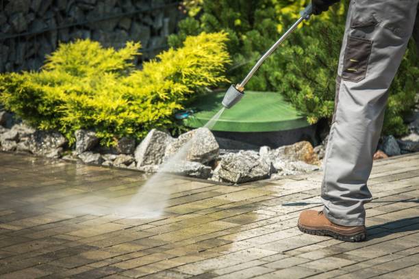 Best Vinyl Siding Pressure Washing in Wilmer, TX