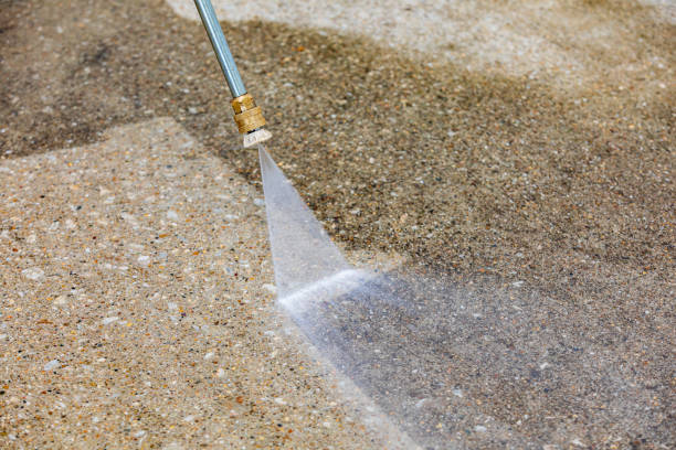 Best Driveway Cleaning and Restoration in Wilmer, TX